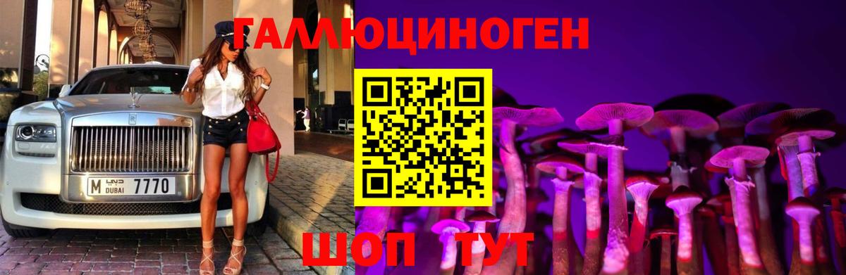 Пугачёв  Псилоцибиновые грибы прущие грибы  Галлюциногенные грибы Psilocybine cubensis  Вход с VPN 